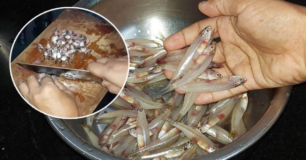 Netholi-Kozhuva-fish-Easy-cleaning-tips