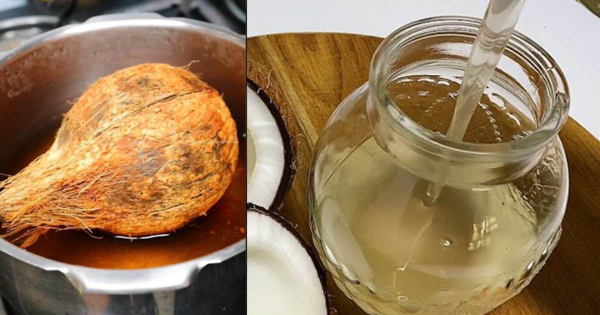 Homemade Coconut Oil Using a Pressure Cooker