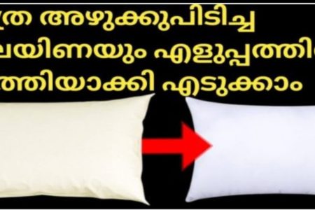 എത്ര അഴുക്കുപിടിച്ച തലയിണയും എളുപ്പത്തിൽ വൃത്തിയാക്കി എടുക്കാം.!! ഇങ്ങനെ ചെയ്യൂ; തലയിണ ഇനി പുതുപുത്തനാക്കാം.!!  Easy Tips to Clean Pillows at Home
