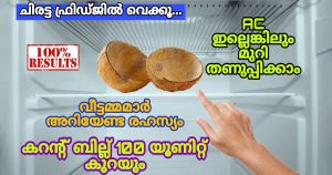 DIY Air Cooler Using Coconut Shell