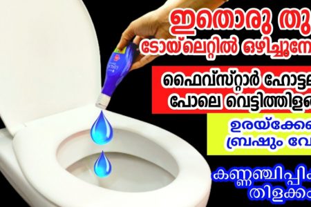Bathroom Cleaning Tip Using Ujala