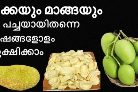 മാങ്ങയും, ചക്കയും കാലങ്ങളോളം കേടാകാതെ സൂക്ഷിക്കാൻ ഇങ്ങനെ ചെയ്തു നോക്കൂ; ആർക്കും അറിയാത്ത സൂത്രം.!! Mango Storage Tips