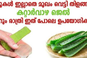 Mugham Thilangan Aloe Vera Gel Remedy