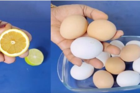 മുട്ട വാങ്ങി കഴിക്കുന്നവർ സൂക്ഷിക്കുക! മുട്ടയിലെ ഈ ചതി ഇനിയും അറിയാതെ പോകരുതേ; തെളിവുകൾ സഹിതം!! | Water Test – Check for Freshness