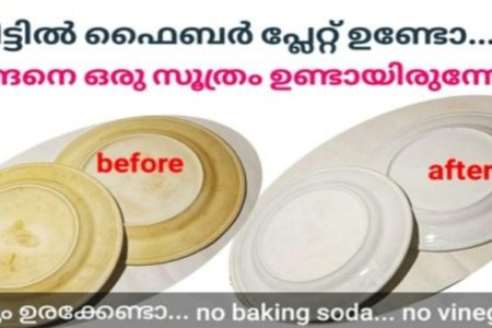 ഇങ്ങനെ ഒരു സൂത്രം ആദ്യമായിട്ടാണല്ലോ കാണുന്നത്.!! വീട്ടിൽ ഫൈബർ പ്ലേറ്റ് ഉണ്ടോ.? എങ്കിൽ ഇതൊന്ന് ചെയ്തു നോക്കൂ.. |    Use Baking Soda + Vinegar for Deep Cleaning