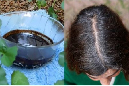 കാപ്പിപ്പൊടി മതി നരച്ച മുടി കറുപ്പിക്കാൻ! എത്ര നരച്ച മുടിയും മിനിറ്റുകൾക്ക് ഉള്ളിൽ നാച്ചുറലായി കറുപ്പിക്കാം!! | Natural Coffee Hair Dye Recipe (No Chemicals)