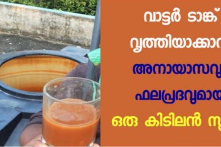 ഇത്രയും പ്രതീക്ഷിച്ചില്ല.. ഇങ്ങനെ ചെയ്‌താൽ നിങ്ങൾ ഞെട്ടും; വളരെ എളുപ്പത്തിൽ ടാങ്ക് ക്‌ളീൻ ചെയ്യാം.!! | Water Tank Cleaning Tip