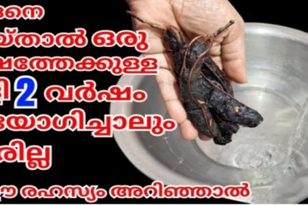 പുളി സൂക്ഷിച്ചു വെക്കുമ്പോൾ ഇങ്ങനെ ചെയ്താൽ ഇരട്ടി ദിവസം ഉപയോഗിക്കാം; പുളി ഇനി രണ്ട് വര്ഷമായാലും തീരില്ല.!! | Quick Way to Peel Garlic