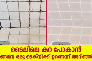 ഒരു രൂപ ചിലവിൽ.!! ഇനി വെള്ള ടൈലുകൾ പോലും വെട്ടിത്തിളങ്ങും.!! ടൈലിലെ കറ പോകാൻ ഇങ്ങനെ ഒരു ടെക്നിക്ക് ഉണ്ടെന്ന് ഇതുവരെ അറിഞ്ഞില്ല.!! | Tiles Cleaning Easy Trick