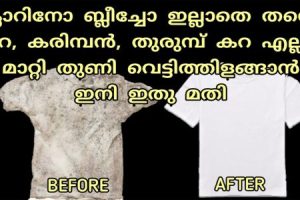 Easy Homemade Tip to Remove Karimban (Black Ants)