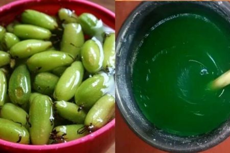 ഇരുമ്പൻപുളികൊണ്ട് വളരെയധികം യൂസ് ഫുൾ ആയ ഒരു സാധനം തയ്യാറാക്കാം |     Homemade Irumban Puli (Bilimbi) Dish Wash Liquid – Natural & Effective