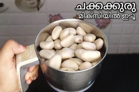 ചക്കക്കുരു കൊണ്ട് ഒരു അടിപൊളി സ്നാക്സ് ഉണ്ടാക്കി നോക്കിയാലോ? Spiced Roasted Jackfruit Seeds