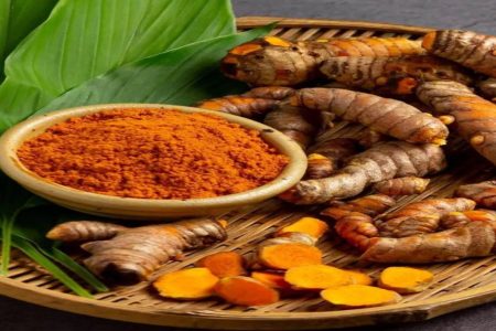 കസ്തൂരി മഞ്ഞൾ നടേണ്ട രീതിയും ശ്രദ്ധിക്കേണ്ട കാര്യങ്ങളും kasthoori turmeric farming tips