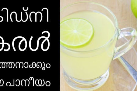 Top 10 Health Drinks for Kidney Health