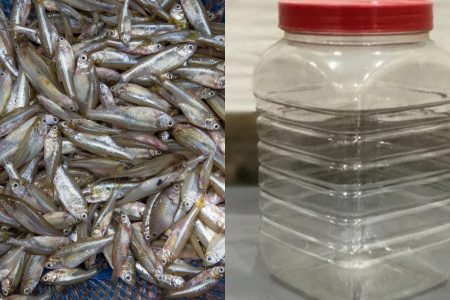 Fish Cleaning Hack Using a Plastic Bottle
