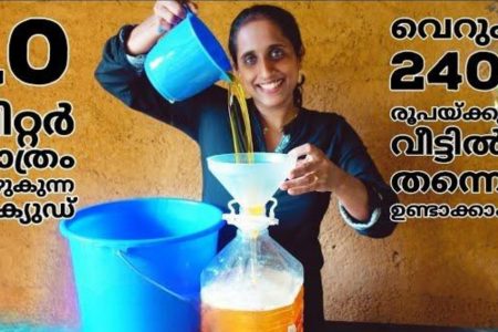 Homemade Dish Wash Liquid Recipe