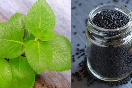 Natural Hair Dye with Black Seeds & Aloe Vera (Panikoorkka)