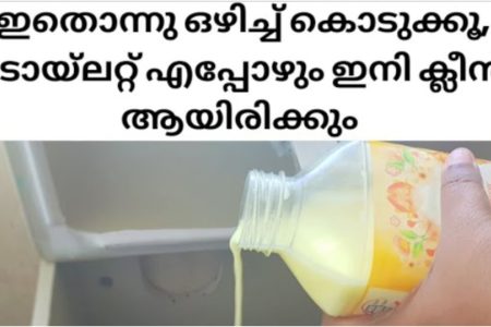 ടോയ്ലറ്റ് എപ്പോഴും ക്ലീൻ ആയിരിക്കാൻ ഇതാ ഒരു സൂത്രം..!!! എളുപ്പത്തിൽ ഇതൊന്നു മാത്രം മതി.. ക്ലീൻ ആവാനും ഫ്രഷ് ആയിരിക്കാനും; | How to Clean Toilet Using Hair Conditioner