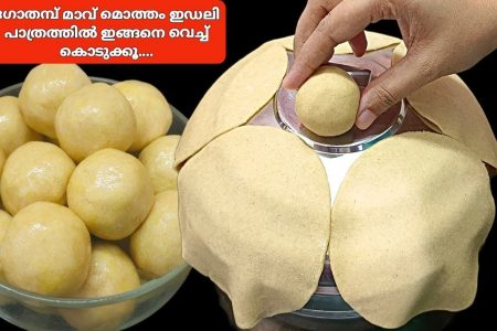 ചപ്പാത്തി മാവ് മൊത്തത്തിൽ ഇതുവരെ ഇഡലി പാത്രത്തിലേക്ക് വെച്ചു കൊടുത്താൽ നമ്മൾക്ക് ഒത്തിരി കാലം സൂക്ഷിച്ചു വയ്ക്കാൻ പറ്റുന്ന ഒരു റെസിപ്പി തയ്യാറാക്കാം. Preserved chappathi making tips