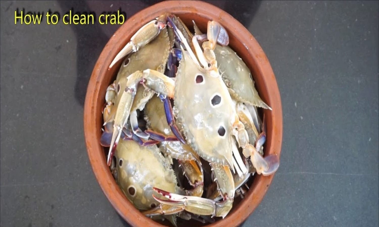 How to Clean Crab (Fresh or Live)