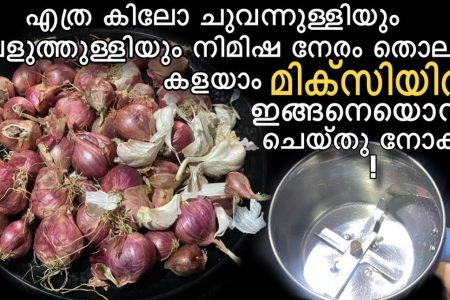 മിക്സിയിൽ ഇനി ഇങ്ങനെ ചെയ്യ്ത് നോക്കൂ. Shallots peeling tips