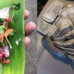 Astrological Significance of Tulasi Prasadam