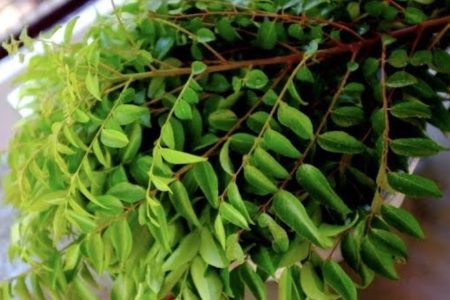 Tip To Keep Curry Leaves For Long Period