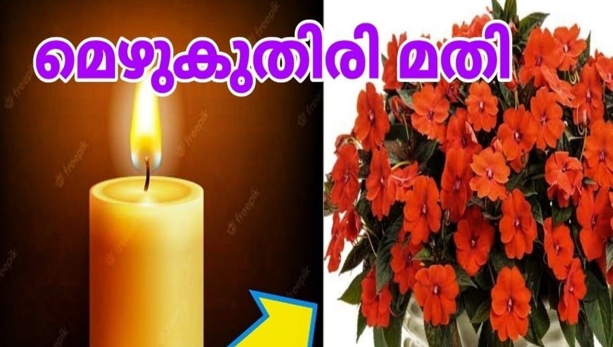 candles for agriculture
