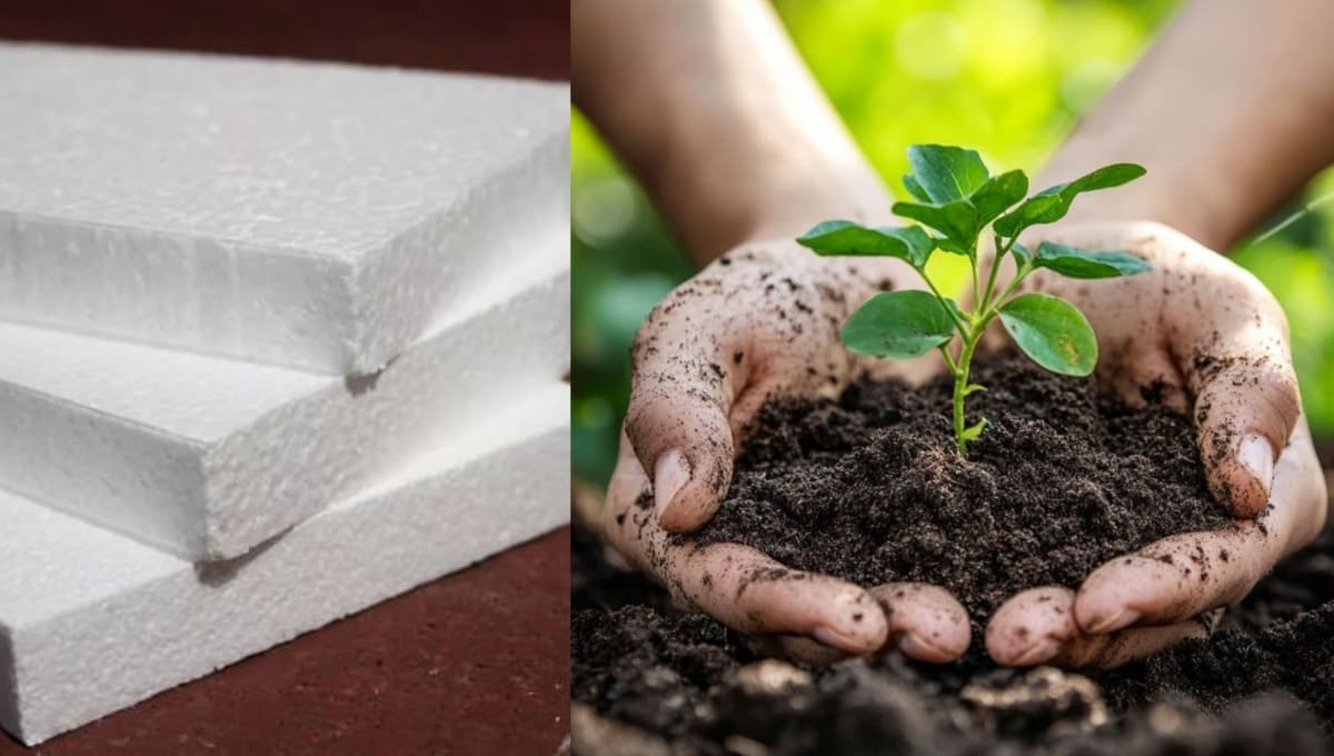 Uses of Thermocol in Agriculture