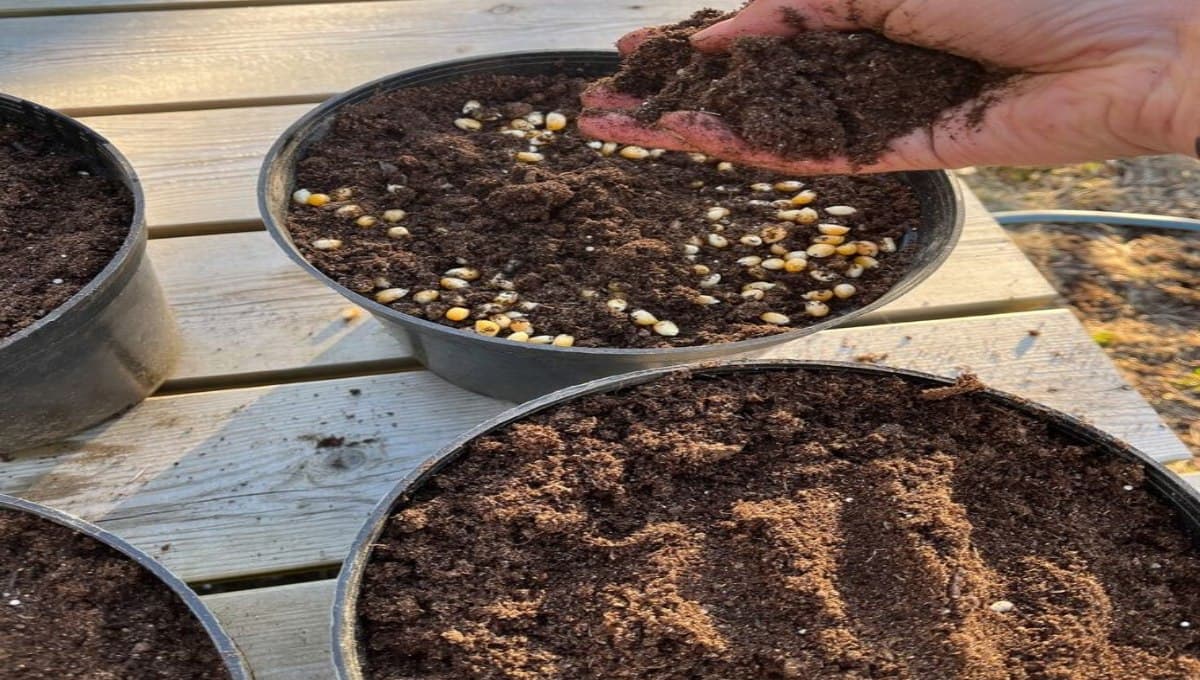 3-Step Approach to Choosing the Right Fertilizer
