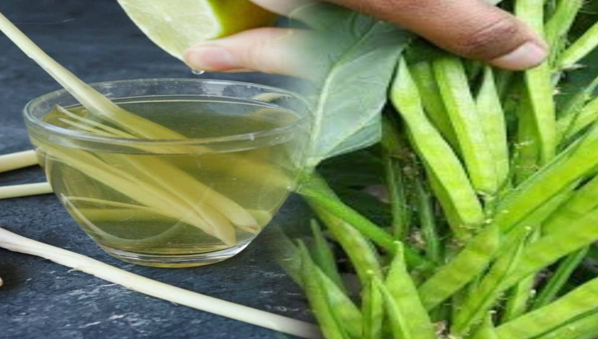 What Is Amara Payar Water