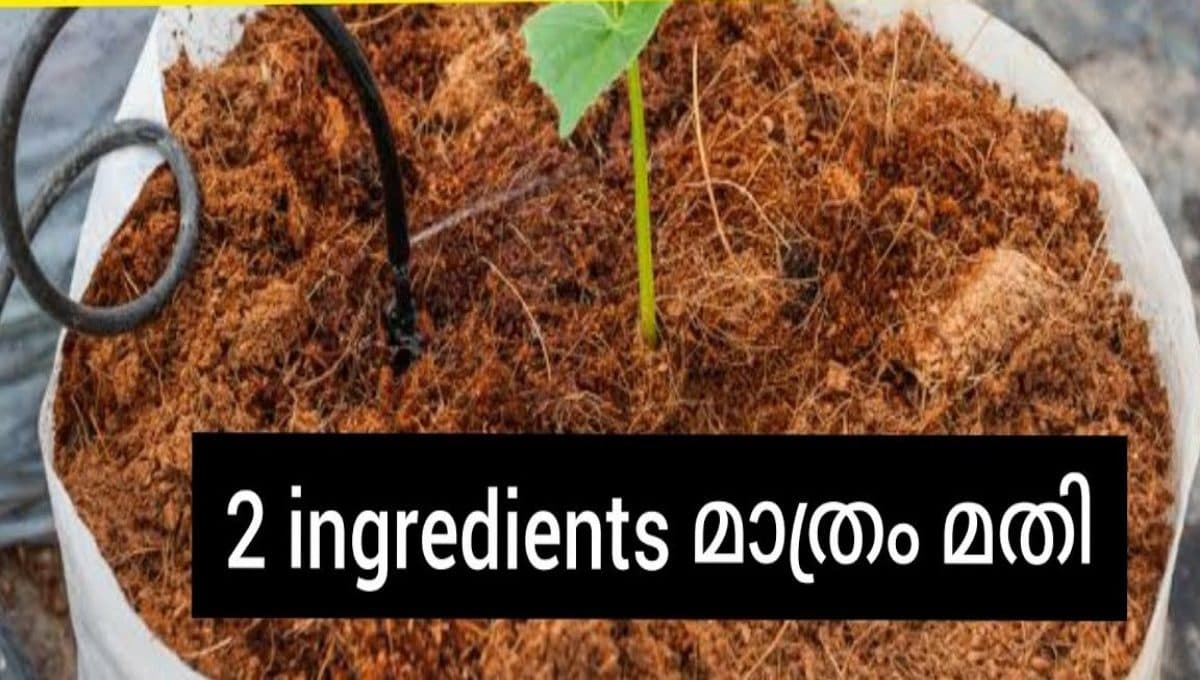 How Kariyila Compost Is Made