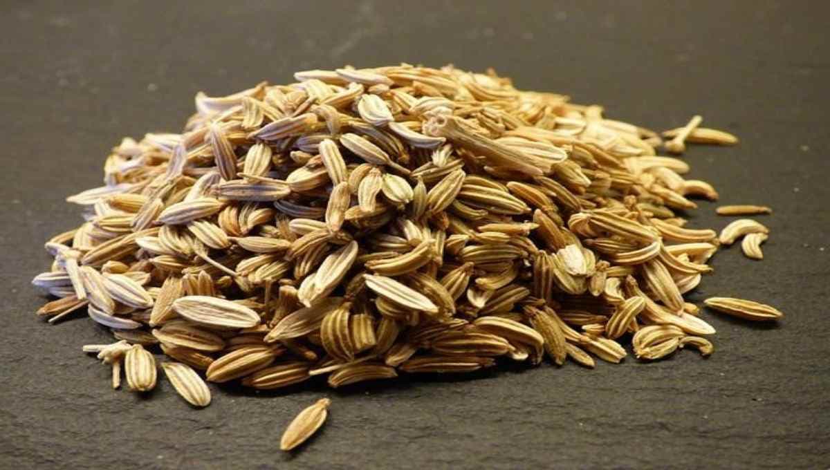 Top Health Benefits of Fennel Seeds
