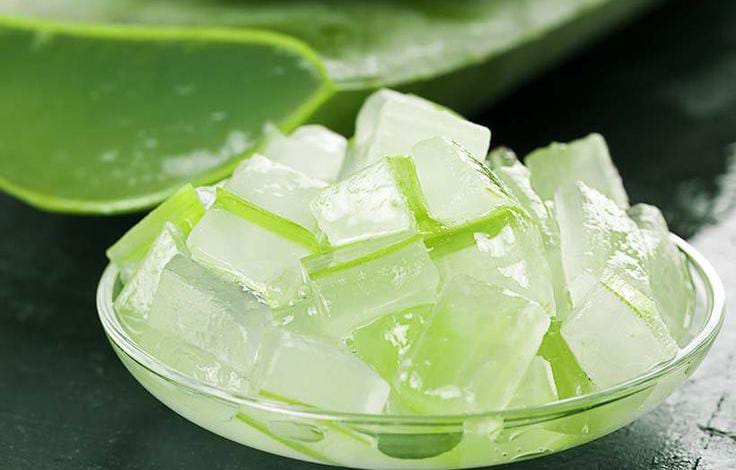 Benefits of Aloe Vera for Piles