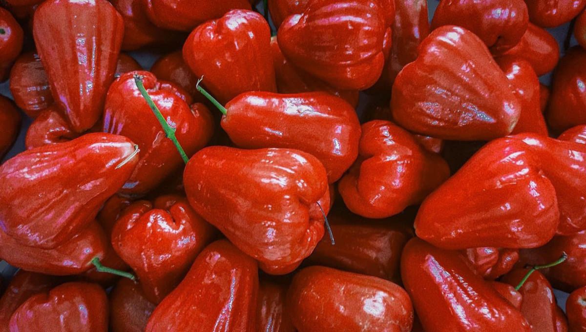 Health Benefits of Big Rose Apple (Wax Apple)