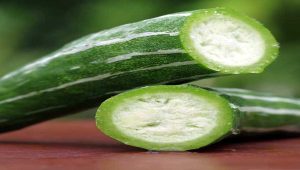 Snake Gourd Farming Guide (Padavalanga / Chichinda / Trichosanthes cucumerina)