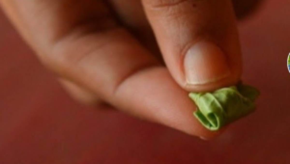 Health Benefits of Brahmi Leaves with Pepper