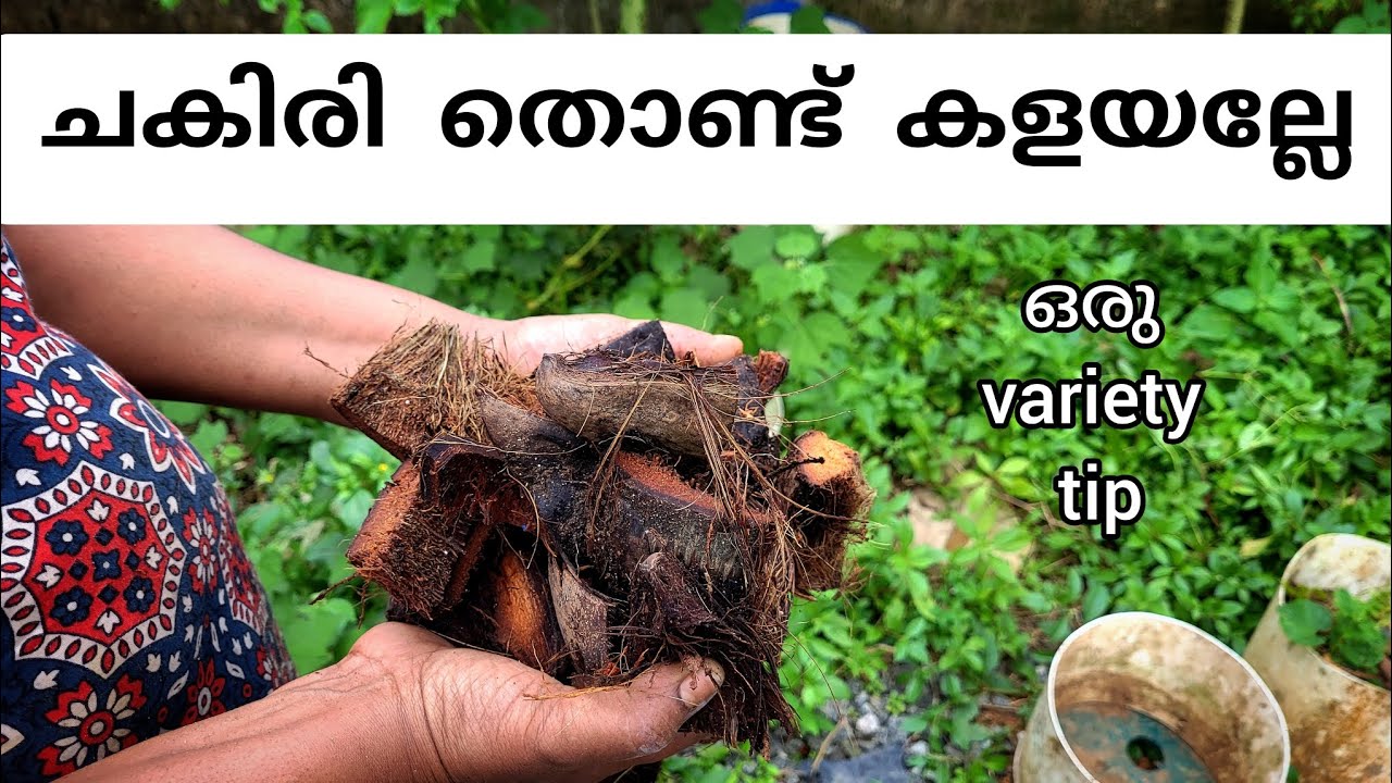 Padavalam Panthal Making Tips (Snake Gourd Trellis)