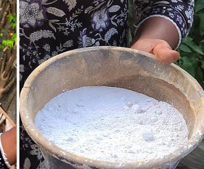 Using Kakka Fish in Agriculture (Organic Fertilizer Practices)