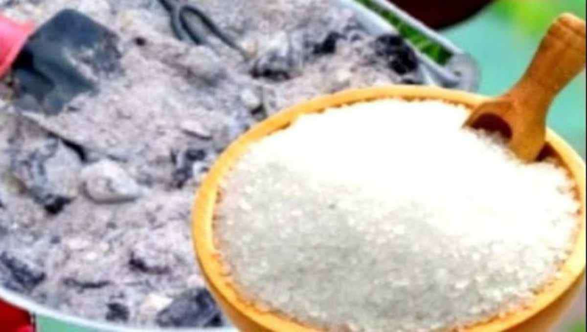 Ash and sugar fertilizer