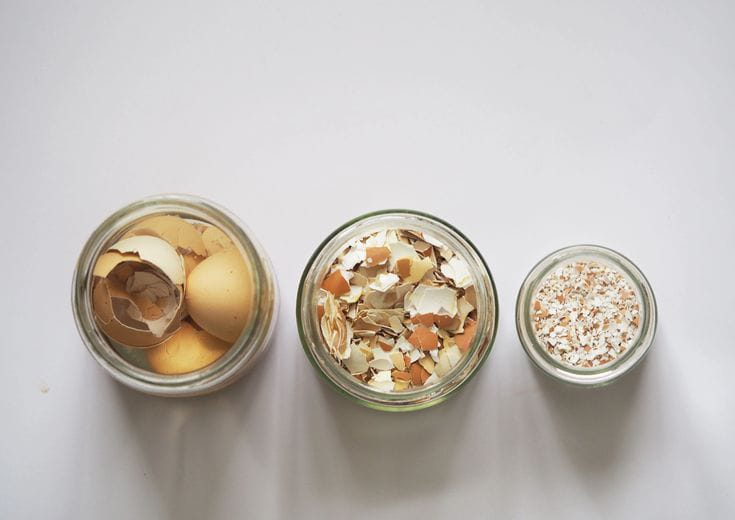 Benefits of Eggshell Tea for Plants