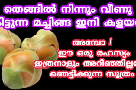 Machinga Kitchen Tips