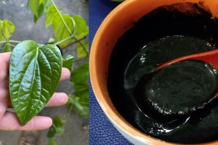Betel Leaf Hair Dye – Health Benefits