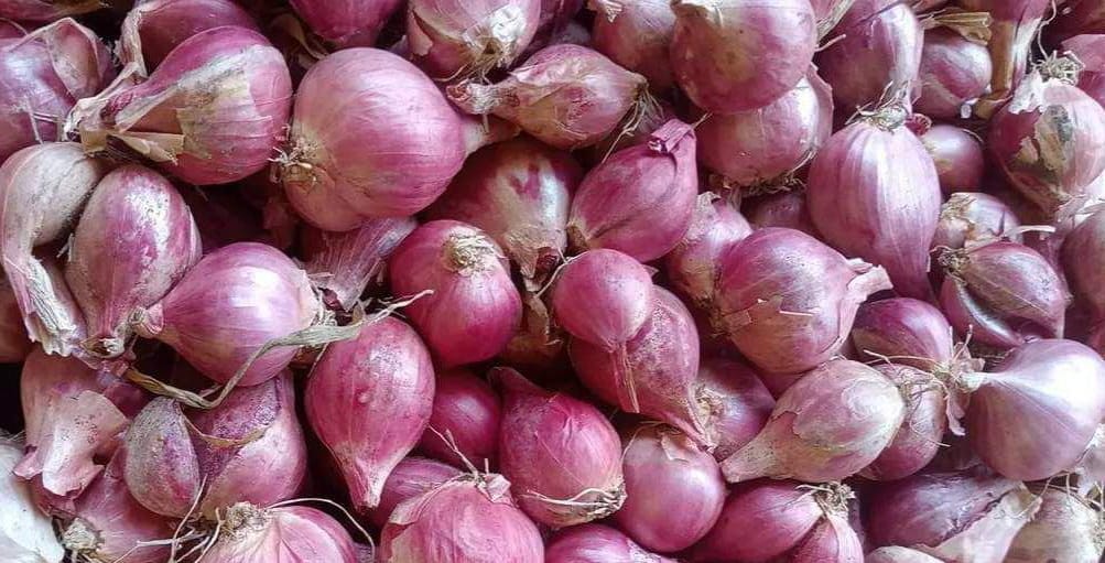 Health Benefits of Shallots (Small Onions)