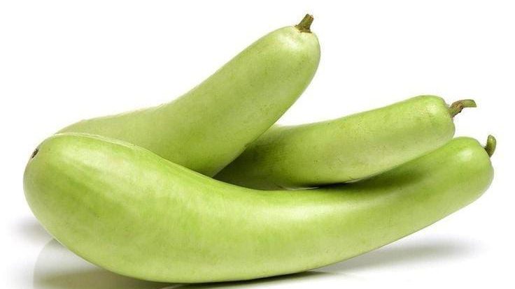 Health Benefits of Bottle Gourd (Churakka)