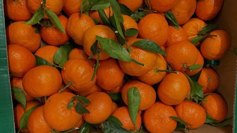 Health Benefits of Orange