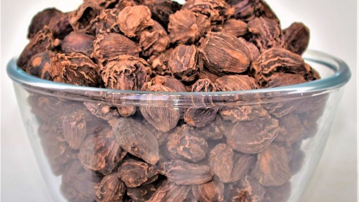 Health Benefits of Black Cardamom (Badi Elaichi)