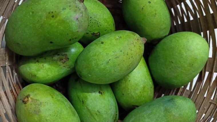 Storing Raw Mango for Year-Round Use