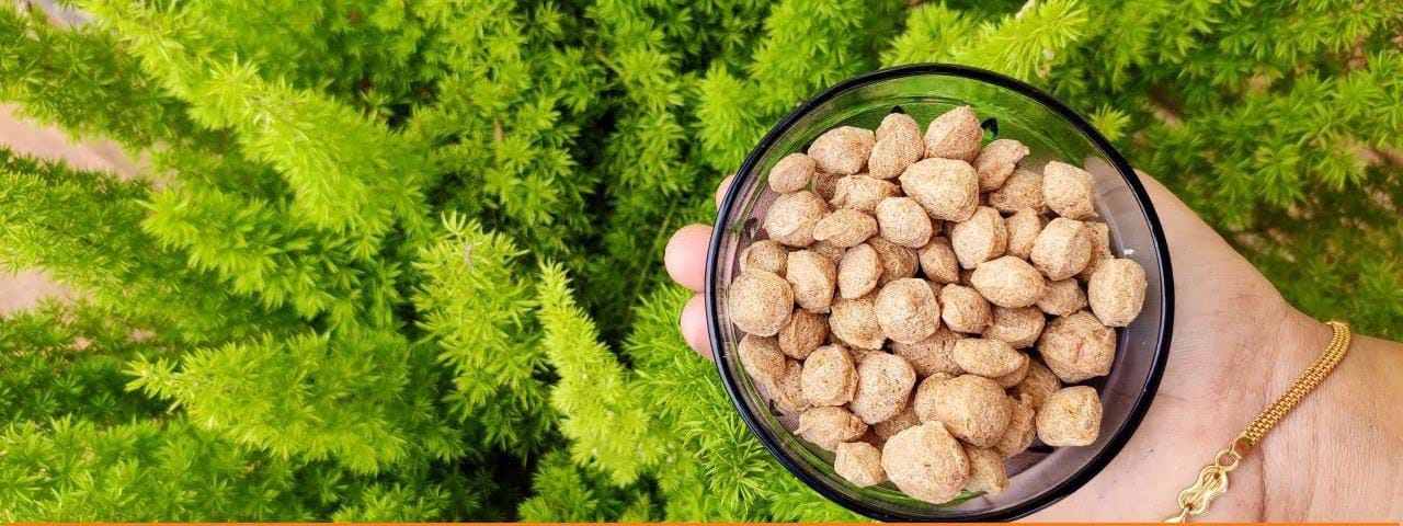 Fast-Acting Fertilizer Options for Indoor Plants