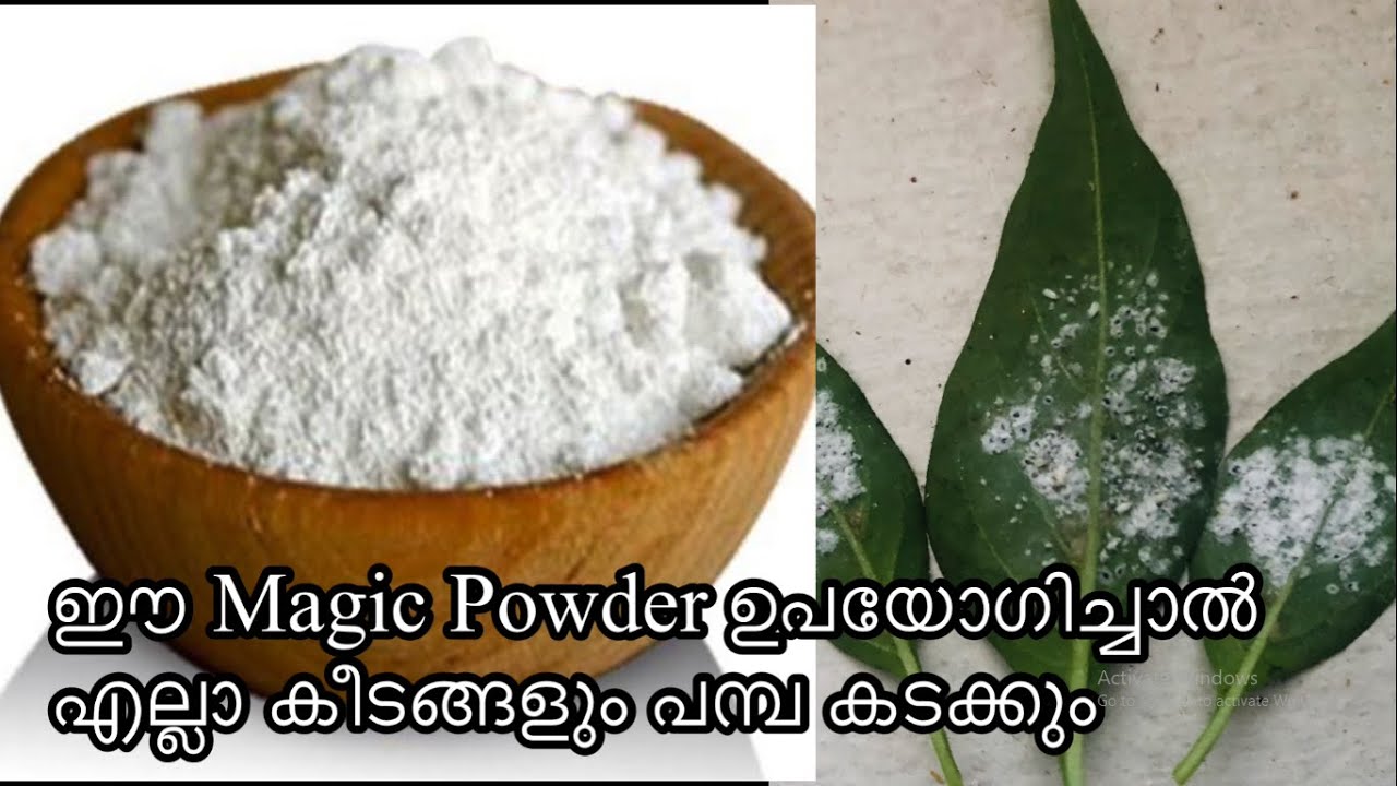 Uses of Baking Soda for Plants